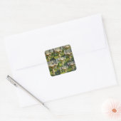 Australische vogels op een vogelpest, stickers (Envelop)