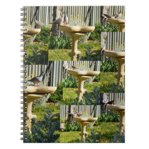 Australische vogels op vogelpest, Notitieboek