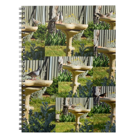 Australische vogels op vogelpest, Notitieboek (Voorkant)