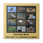 Australische vogels tegeltje (Voorkant)
