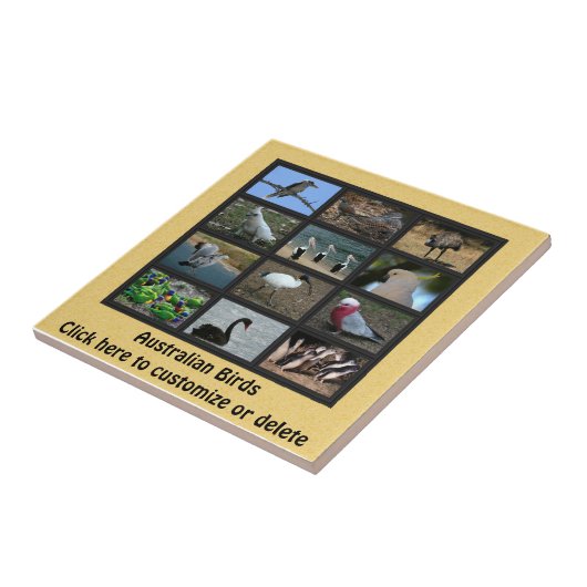 Australische vogels tegeltje (Zijkant)