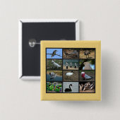 Australische vogels vierkante button 5,1 cm (Voorkant /achterkant)