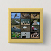 Australische vogels vierkante button 5,1 cm (Voorkant)