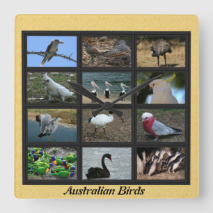 Australische vogels vierkante klok