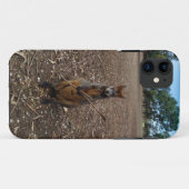 Australische Wallaby geniet van zijn stok, Case-Mate iPhone Case (Achterkant (horizontaal))
