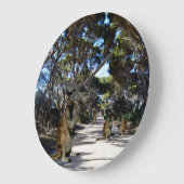 Australische Wallaby on Road, grote klok (Hoek)