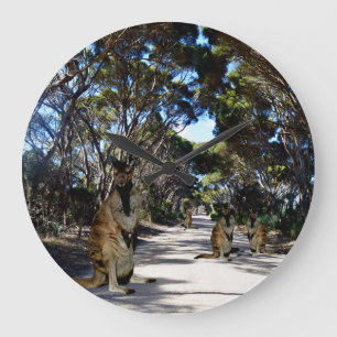 Australische Wallaby on Road, grote klok