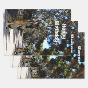 Australische Wallaby Weg, Cadeaupapier Vellen