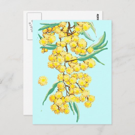 Australische watel briefkaart (Voorkant / Achterkant)