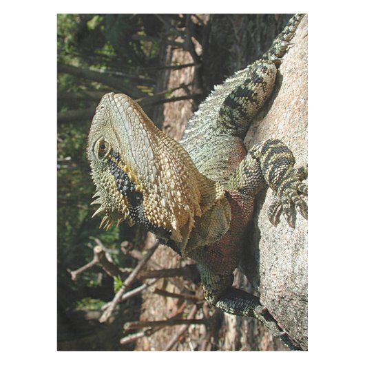 Australische waterdraak tafelkleed (Voorkant)