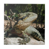 Australische waterdraak tegeltje (Voorkant)