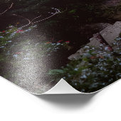 Australische Waterval Foto Afdruk (Hoek)