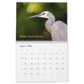 Australische watervogels kalender (Mar 2026)