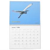 Australische watervogels kalender (Jan 2026)