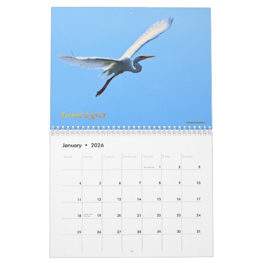 Australische watervogels kalender (Jan 2026)