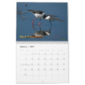 Australische watervogels kalender (Feb 2027)