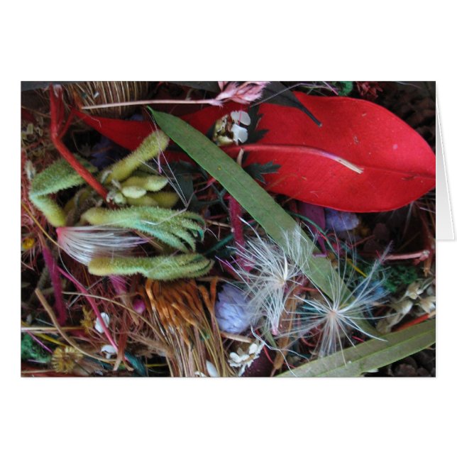 Australische wilde bloemen (Voorkant Horizontaal)