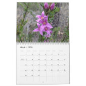 Australische wilde bloemen kalender (Mar 2026)