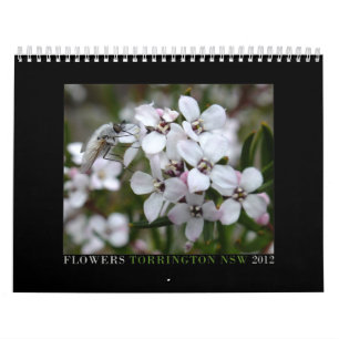 Australische wilde bloemen kalender