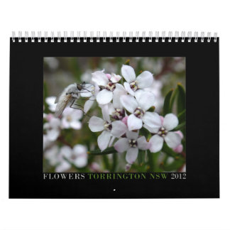 Australische wilde bloemen kalender
