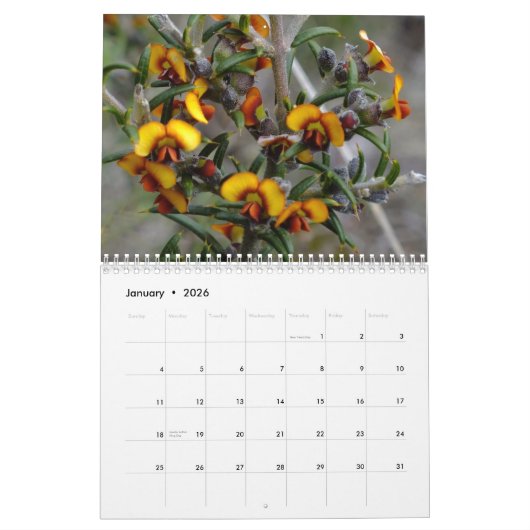 Australische wilde bloemen kalender (Jan 2026)
