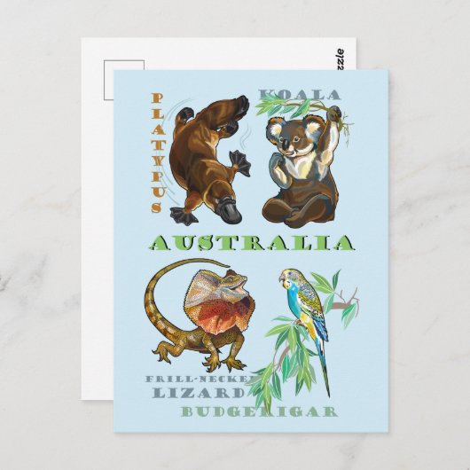 Australische wilde dieren briefkaart (Voorkant / Achterkant)