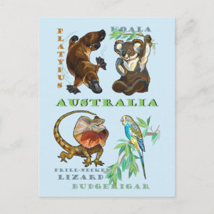 Australische wilde dieren briefkaart