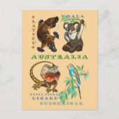 Australische wilde dieren briefkaart (Voorkant)