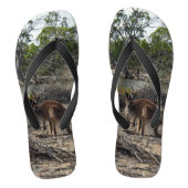 Australische wilde Struik Kangaroo Teenslippers (Voetbed)