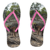 Australische wilde Struik Kangaroo Teenslippers (Voetbed)