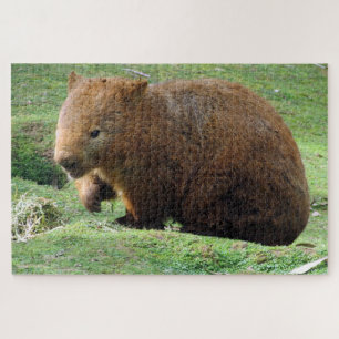australische wombat legpuzzel