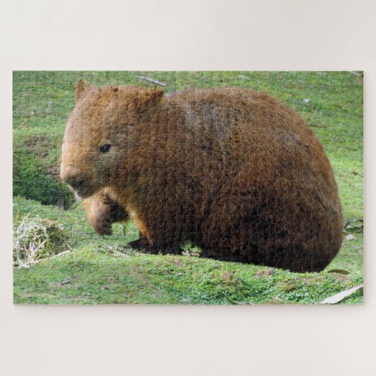 australische wombat legpuzzel (Horizontaal)