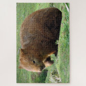 australische wombat legpuzzel (Verticaal)