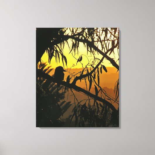 Australische Zonsondergang Kookaburra Silhouet Ver Canvas Afdruk (Voorkant)