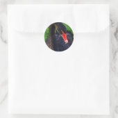 Australische zwarte zwaan ronde sticker (Tas)