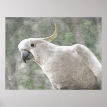 Australische zwavelkatalysator