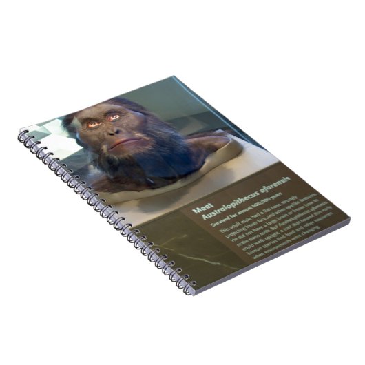 Australopithecus afarensis; museumtentoonstelling. notitieboek (Rechterzijde)