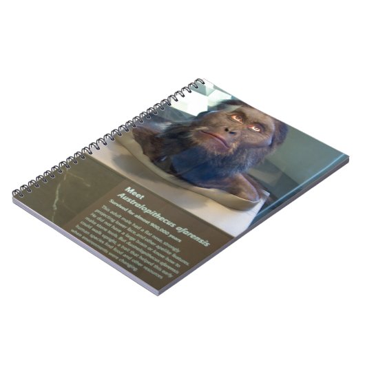 Australopithecus afarensis; museumtentoonstelling. notitieboek (Linkerzijde)