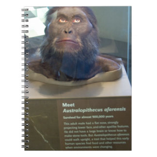 Australopithecus afarensis; museumtentoonstelling. notitieboek