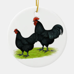 Australorp Black Chickens Keramisch Ornament