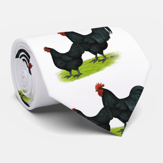 Australorp Black Chickens Stropdas (Opgerold)