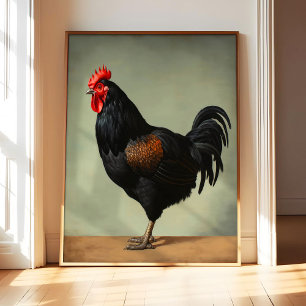 Australorp Kip Art Print Poster, Vintage Vogel