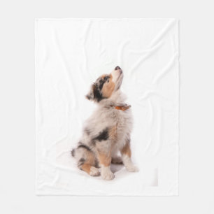 Austran shepherd puppy fleece deken