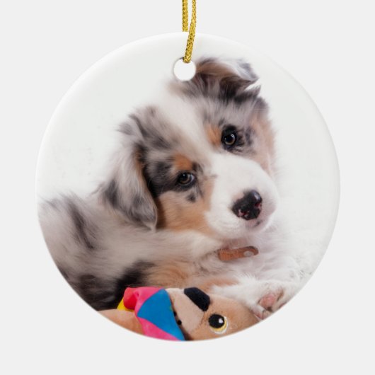 Austran shepherd puppy keramisch ornament (Voorkant)