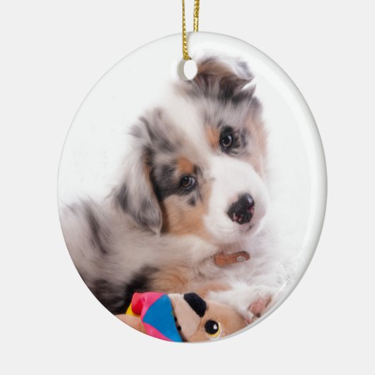 Austran shepherd puppy keramisch ornament (Links)