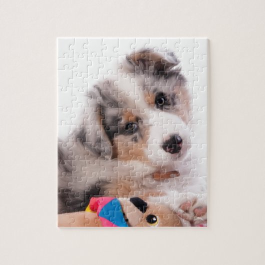 Austran shepherd puppy legpuzzel (Verticaal)