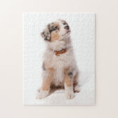 Austran shepherd puppy legpuzzel (Verticaal)