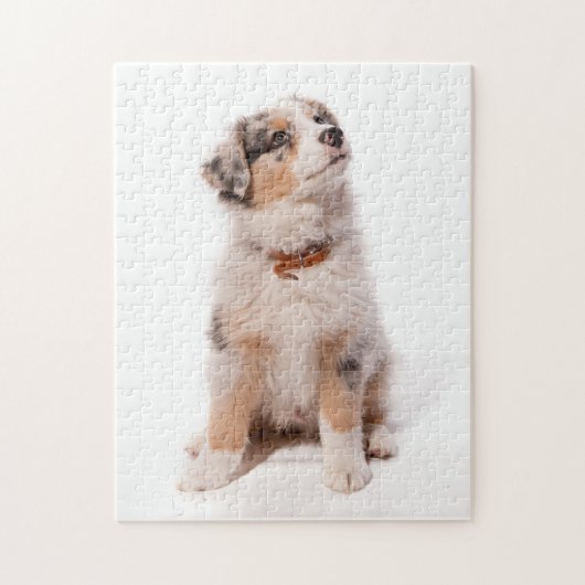 Austran shepherd puppy legpuzzel (Verticaal)