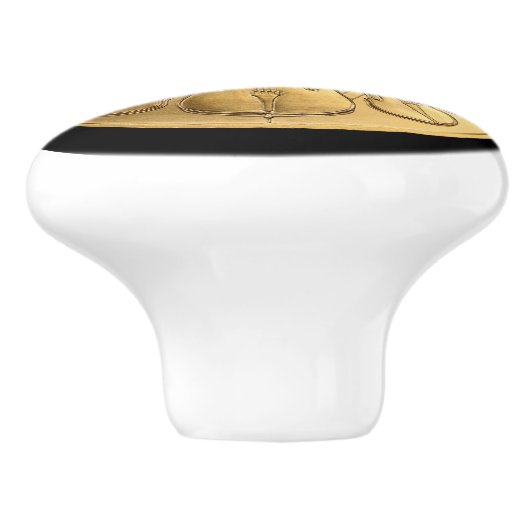 Austrian Gold Coin ~ Wien Philharmonics 2017 ~ * Keramische Knop (Zijkant)