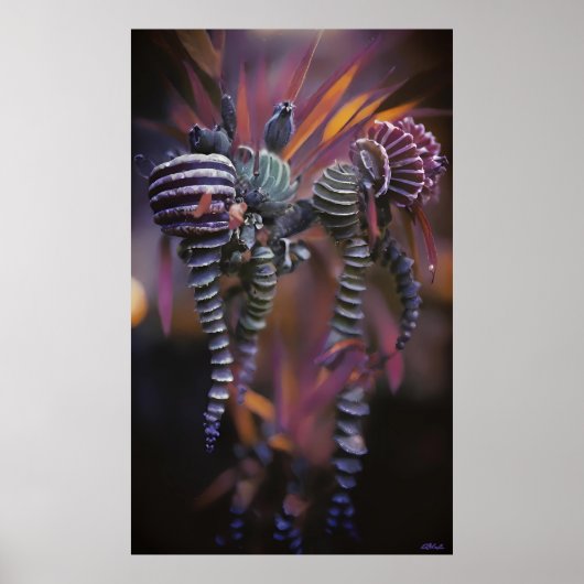 Auténtico Poster (Voorkant)